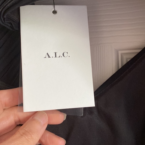 A.L.C. Sienna Pleated cutout dress - Picture 10 of 12